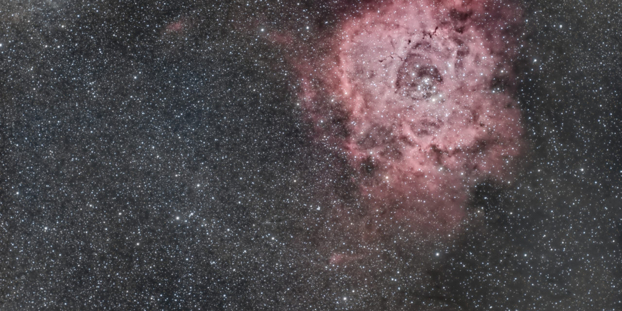 Nébuleuse de la Rosette (NGC 2244)
