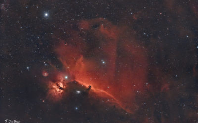 Retraitement des Nébuleuses de la Tête de Cheval (IC443) et de la Flamme (NGC2024) en bande étroite