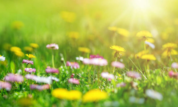 Equinoxe de printemps 2020