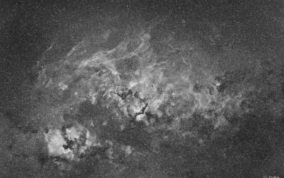 Grand champ sur la région de la Constellation du Cygne en Ha alpha