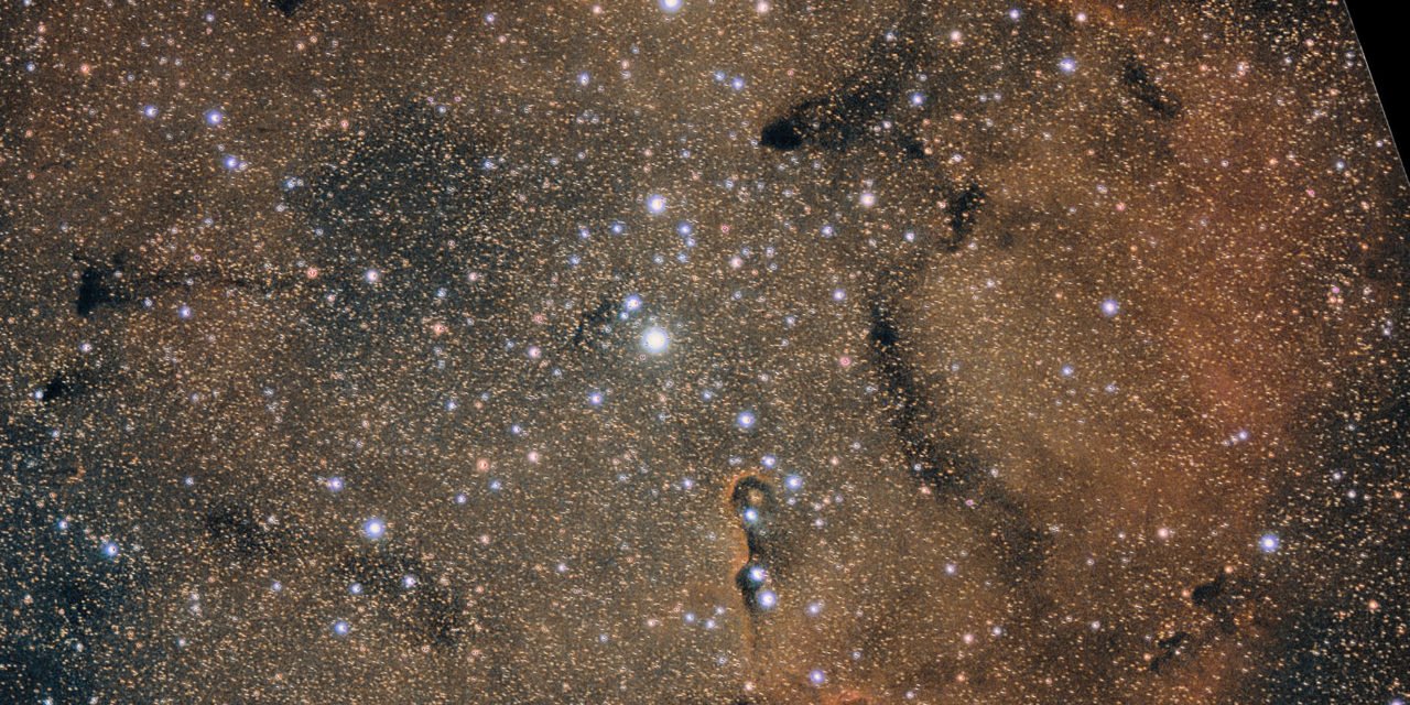 La trompe de l’éléphant (IC1396)