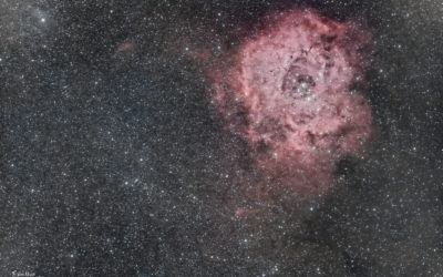 Nébuleuse de la Rosette (NGC 2244)