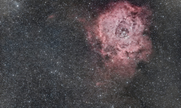 Nébuleuse de la Rosette (NGC 2244)