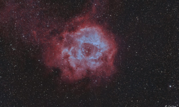 Nébuleuse de la Rosette (NGC 2244)