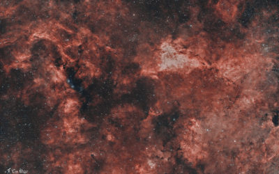 Région au dessus de l’étoile Sadr dans la Constellation du Cygne