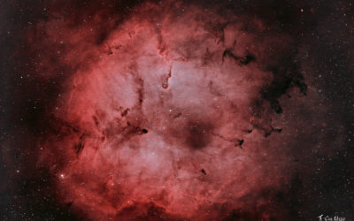 Nébuleuse de la Trompe d’Eléphant (IC1396) dans la Constellation de Céphée