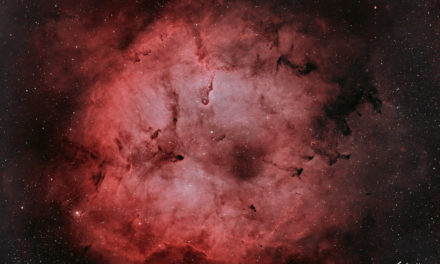 Nébuleuse de la Trompe d’Eléphant (IC1396) dans la Constellation de Céphée