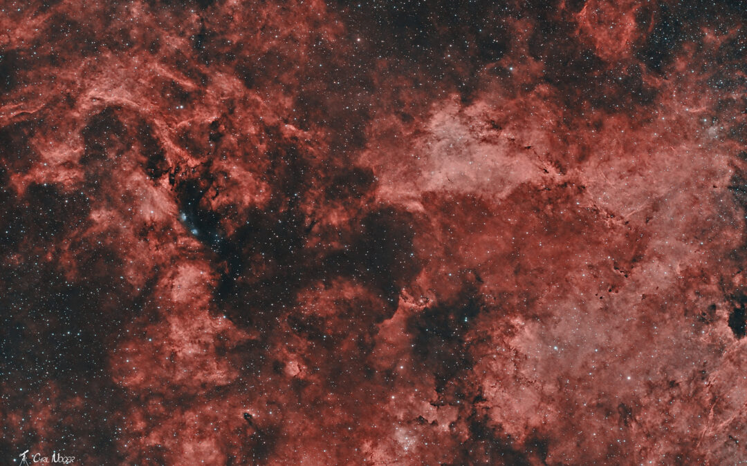 Programme prévisionnel 2025-2026