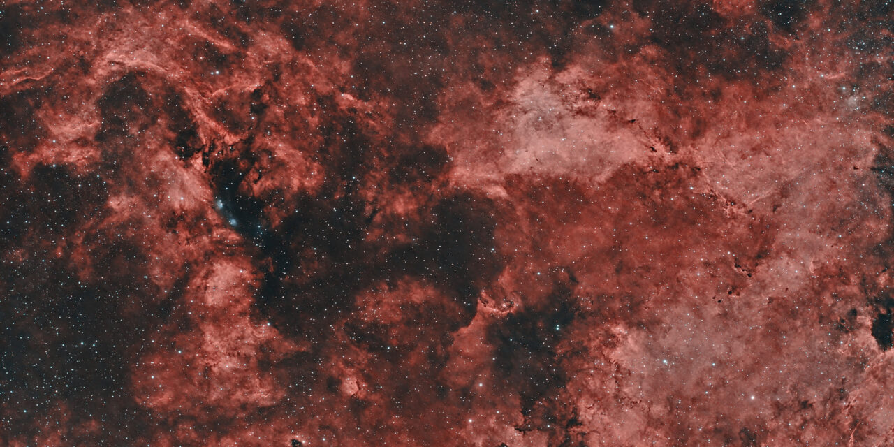 Programme prévisionnel 2025-2026