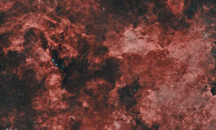 Programme prévisionnel 2025-2026